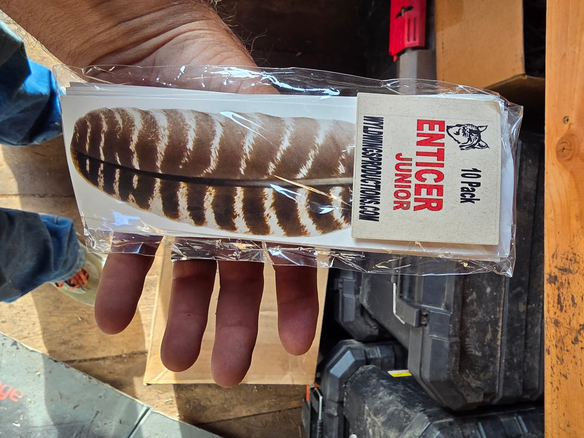 ENTICER JUNIOR - 10 PACK FEATHERS